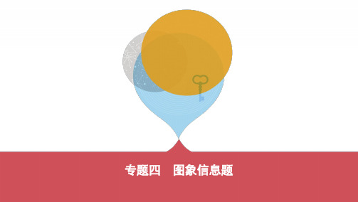2020版中考物理大二轮素养突破泰安版课件 专题四 图象信息题(可自主编辑PPT)(共34张PPT)