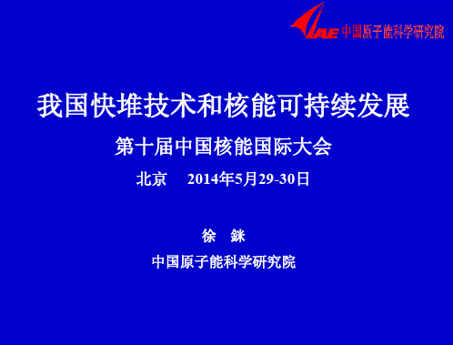 我国快堆技术和核能可持续发展-徐銤