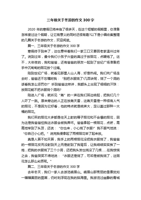 三年级关于冬游的作文300字