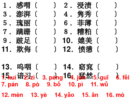 2014届高考字音复习ppt课件(38页)