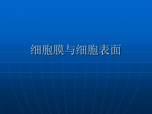 细胞膜与细胞表面