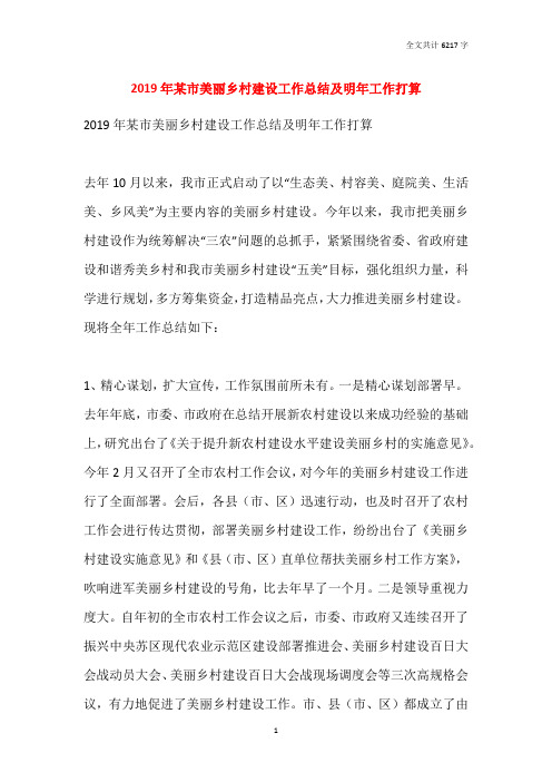 2019年某市美丽乡村建设工作总结及明年工作打算