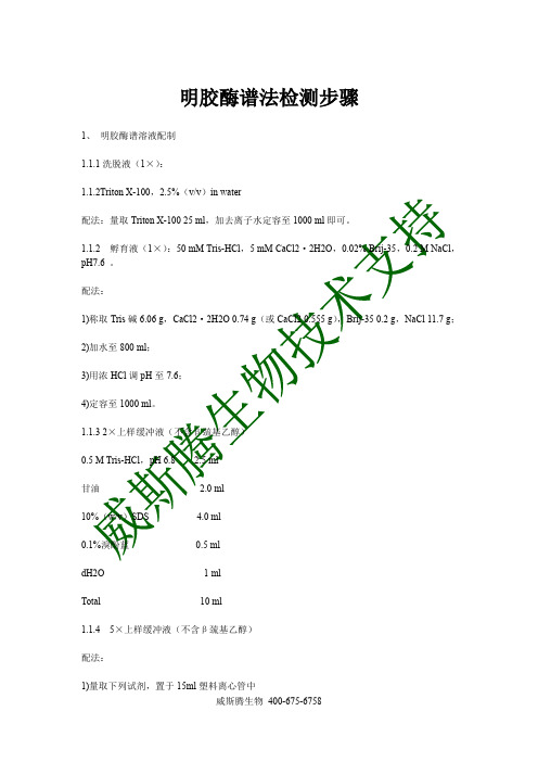 明胶酶谱法检测步骤