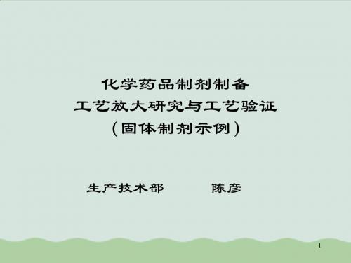 化学药品制剂制备工艺放大与验证研究(doc 92页)