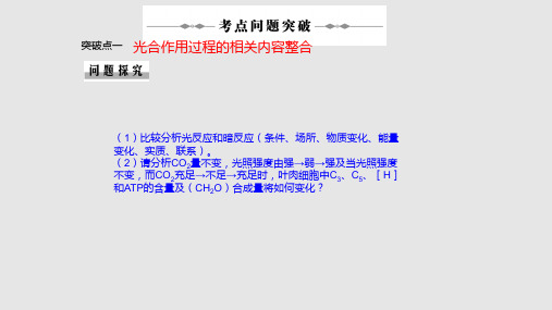 高三细胞呼吸和光合作用复习.pptx