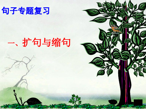 改写句子(四下)