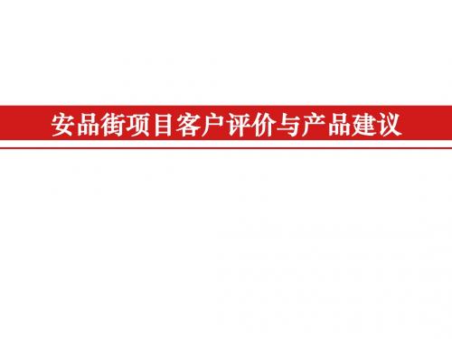 南京安品街项目策划全案(易居)