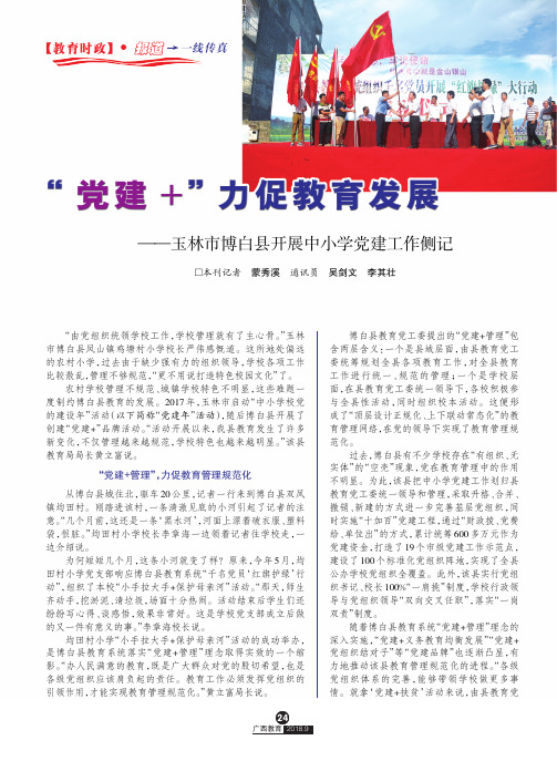 “党建+”力促教育发展——玉林市博白县开展中小学党建工作侧记