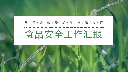 食品安全工作总结汇报PPT模板 食品安全宣传教育PPT