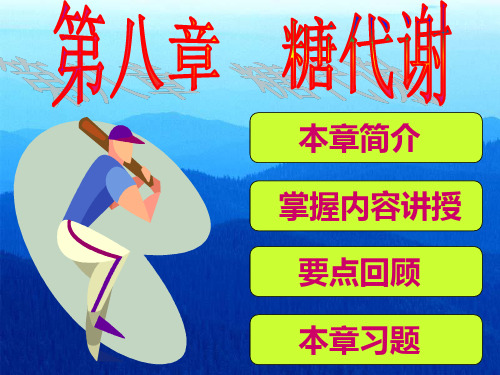 第八章糖代谢PPT课件