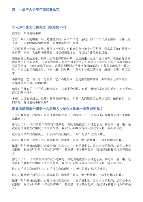 第十一届华人少年作文比赛范文