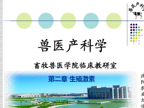 兽医产科学-2 生殖激素