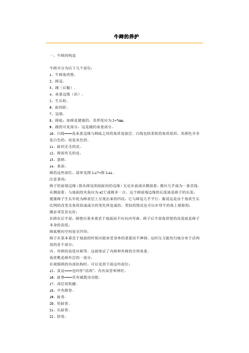牛蹄的养护