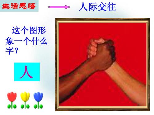 第九课 “人”字的结构 课件(教科版七年级上)