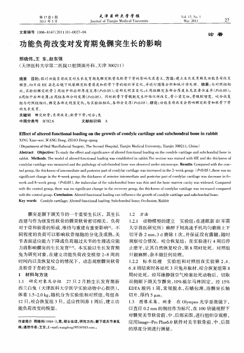 功能负荷改变对发育期兔髁突生长的影响
