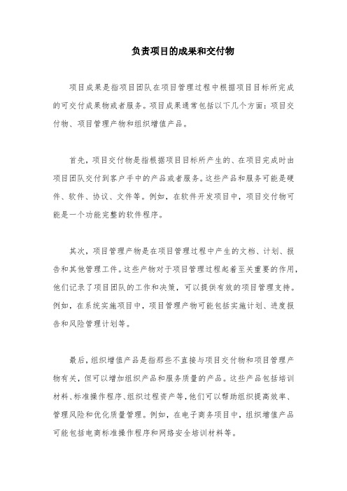负责项目的成果和交付物
