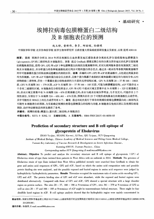 埃博拉病毒包膜糖蛋白二级结构及B细胞表位的预测