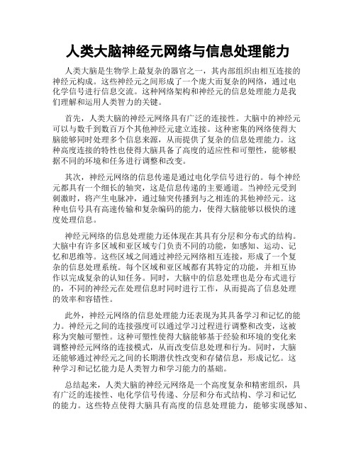 人类大脑神经元网络与信息处理能力