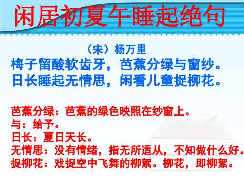 闲居初夏午睡起绝句赏析【宋】杨万里