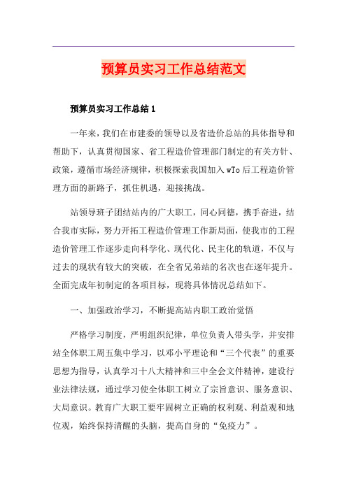 预算员实习工作总结范文