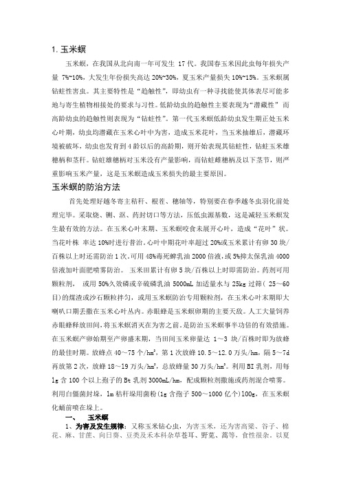 玉米-病害