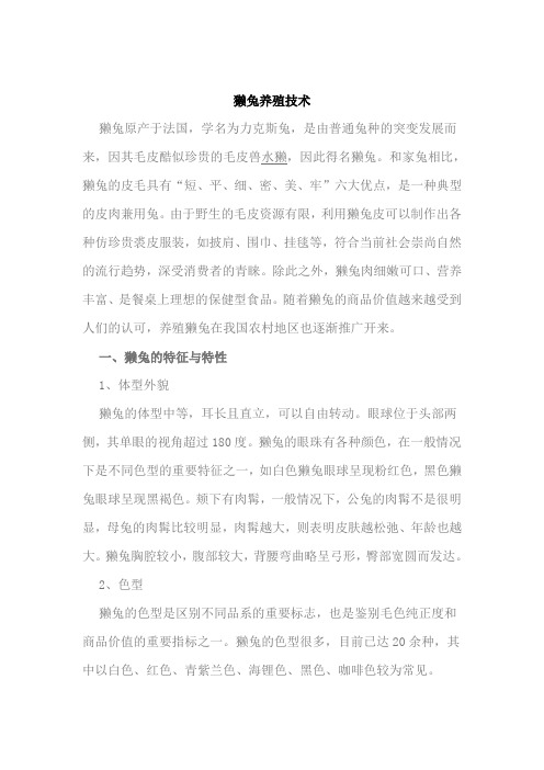 獭兔养殖技术