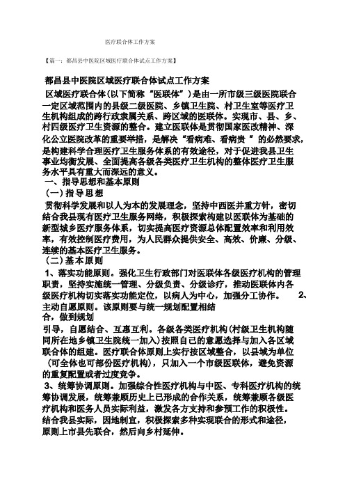 活动方案之医疗联合体工作方案