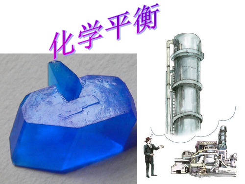 人教版化学《化学平衡》课件1