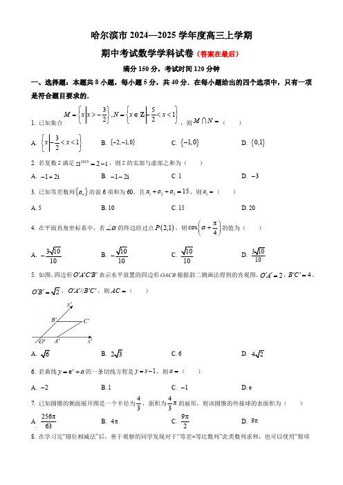 黑龙江省哈尔滨市2024-2025学年高三上学期期中考试 数学含答案