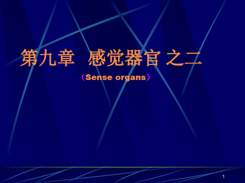 感觉器官之PPT课件