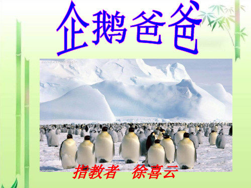 西南师大版六年级语文下册《三单元  10 企鹅爸爸》课件_1