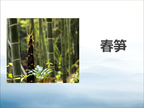 《春笋》PPT【优秀课件PPT】