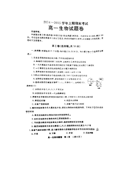 河南省郑州市2014-2015学年高一上学期期末考试生物试题 扫描版含答案