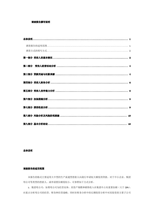 民生银行调查报告撰写说明
