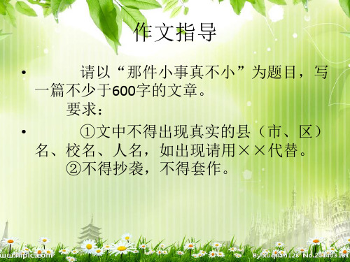 作文指导：那件小事真不小