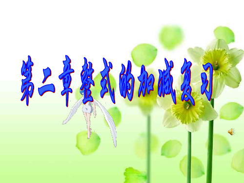 人教版七年级数学(新)上册课件：第二章 整式的加减复习(共14个ppt)(共14张PPT)