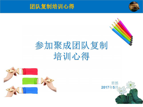 聚城团队复制-心得