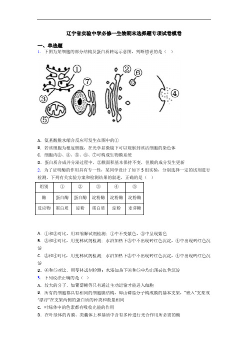 辽宁省实验中学必修一生物期末选择题专项试卷模卷
