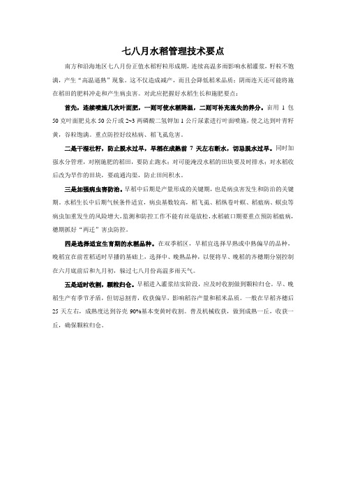 七八月水稻管理技术要点