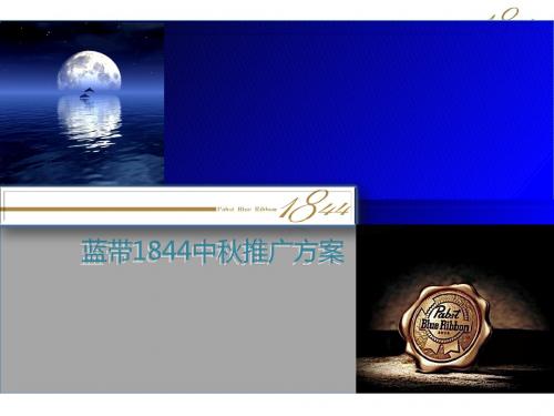 某啤酒中秋推广方案(PPT36张)