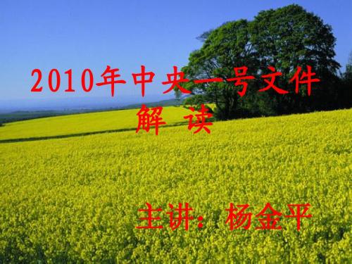 一号文件