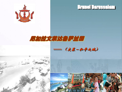 文莱PPT