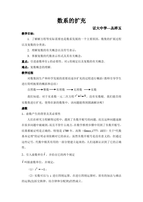 数系的扩充教案