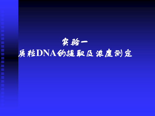 质粒的提取及浓度的测定
