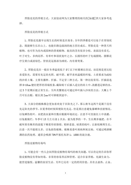 厚脸皮花(最新)