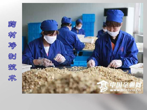 第4单元 任务一 净制