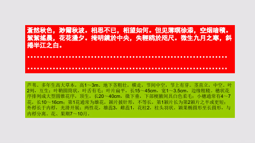芦花赋第一段赏析【清代】吴锡麒骈体文