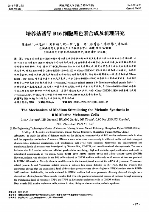培养基诱导B16细胞黑色素合成及机理研究