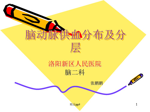 脑血管各支供血区分布PPT课件