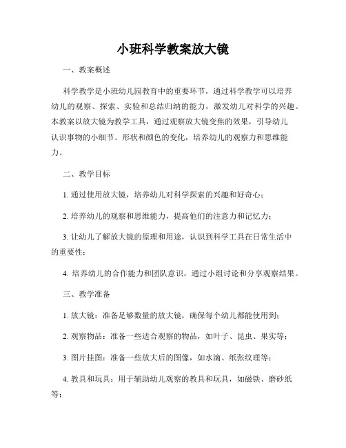 小班科学教案放大镜
